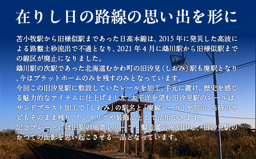日高本線廃線レール 厚さ３ｃｍ ①（限定１０セット） MKWG031 高さ１４ｃｍ×幅１３ｃｍ×厚さ３ｃｍ