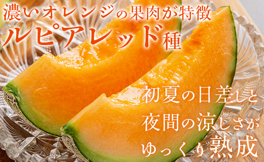 ＜2026年7月より発送＞＜先行受付＞ほべつメロン2玉(約1.6Kg×2玉)＜むかわ町穂別特産品＞ MKWR002