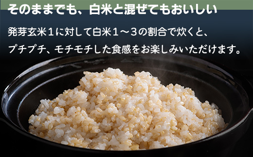 北海道米の発芽玄米「ななつぼし・ゆめぴりか」食べ比べセット MKWAH009