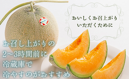 ＜2026年7月より発送＞＜先行受付＞ほべつメロン2玉(約1.6Kg×2玉)＜むかわ町穂別特産品＞ MKWR002