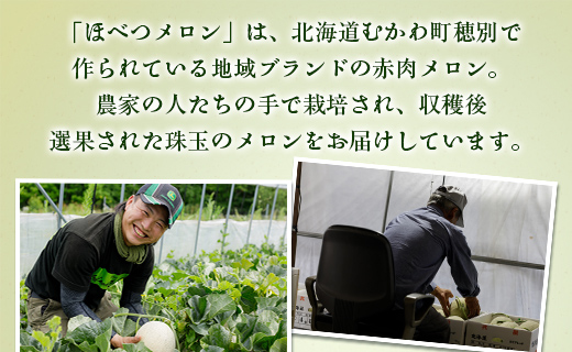 ＜2026年7月より発送＞＜先行受付＞ほべつメロン2玉(約1.6Kg×2玉)＜むかわ町穂別特産品＞ MKWR002