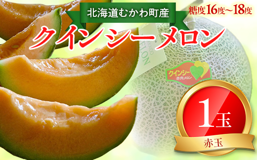 【2025年8月以降発送】クインシー（赤肉）1玉 MKWAG002