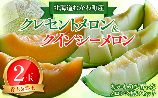 【2025年8月以降発送】クレセント（青肉）・クインシー（赤肉）2玉赤青ミックス MKWAG003