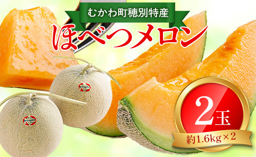 ＜2026年7月より発送＞＜先行受付＞ほべつメロン2玉(約1.6Kg×2玉)＜むかわ町穂別特産品＞ MKWR002
