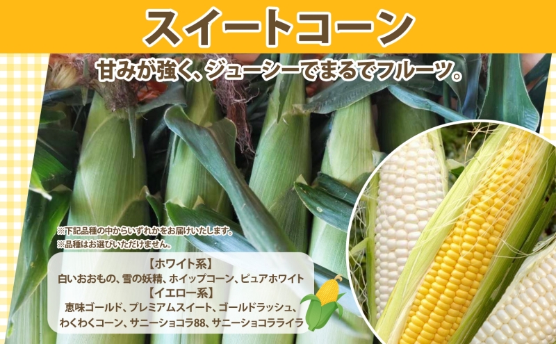 【2026年発送 先行予約】【 のざわ農園 】スイートコーン 10本 前後（約4kg） とうもろこし コーン とうきび 北海道 日高産