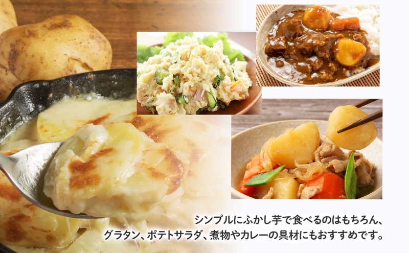 のざわ農園 じゃがいも詰め合わせセット 3kg メークイン ダンシャク トウヤ トカチゴカネ キタアカリ アンデスレッド インカのめざめ インカのひとみ いも 芋 じゃがいも 野菜 送料無料 北海道 日高町