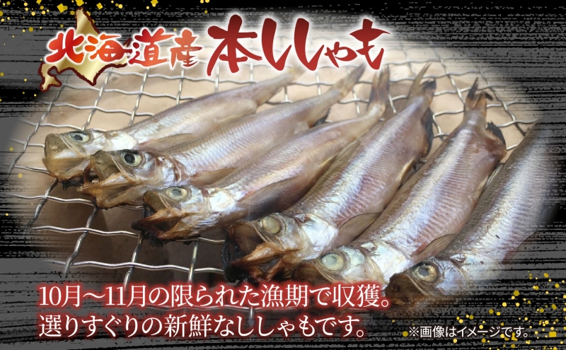 北海道産 阿部水産 ししゃも LL 20尾セット 本ししゃも 雄 雌 オス メス 魚卵 卵 たまご タマゴ子持ち 北海道土産 季節限定 ほくほく 子魚 無添加 クール便 冷凍 送料無料 北海道 日高町