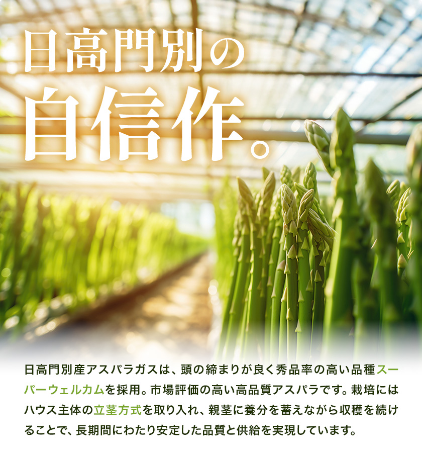 アスパラガス 秀品 アスパラ グリーンアスパラ 2L サイズ 2kg (500g×4) 門別町農業協同組合(生活資材課)《4月上旬-5月末頃出荷》北海道 日高町 送料無料 春野菜 春 朝採り 朝採れ お取り寄せ---hohdk_mnkkssk_2_2kg---
