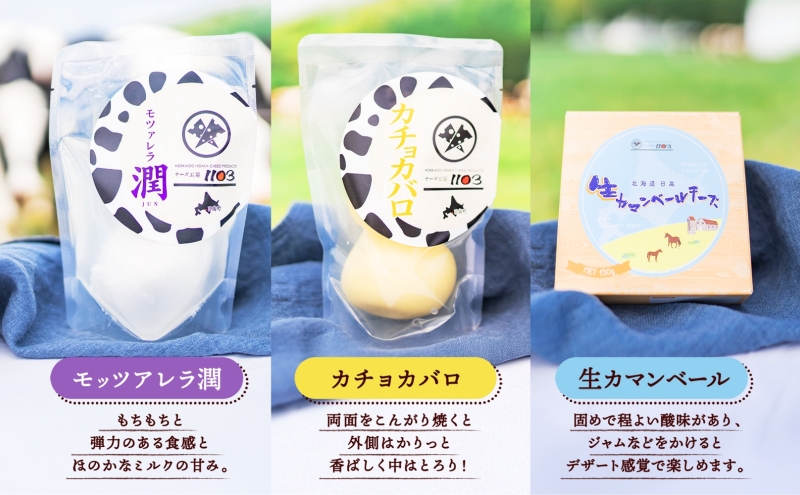 チーズ工房1103 チーズセットA 計6種 ストリング拓 ストリング日高 味噌チー モッツアレラ潤 カチョカバロ 生カマンベール チーズ チーズセット 乳製品 まろやか クリーミー あっさり アレンジ 送料無料 ギフト 贈り物 北海道 日高町