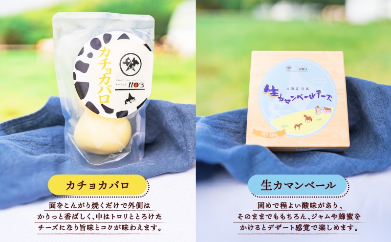 チーズ工房1103 チーズセットB 計5種 ストリング拓 ストリング日高 味噌チーカチョカバロ 生カマンベール チーズ チーズセット 乳製品 まろやか クリーミー あっさり アレンジ 送料無料 ギフト 贈り物 北海道 日高町