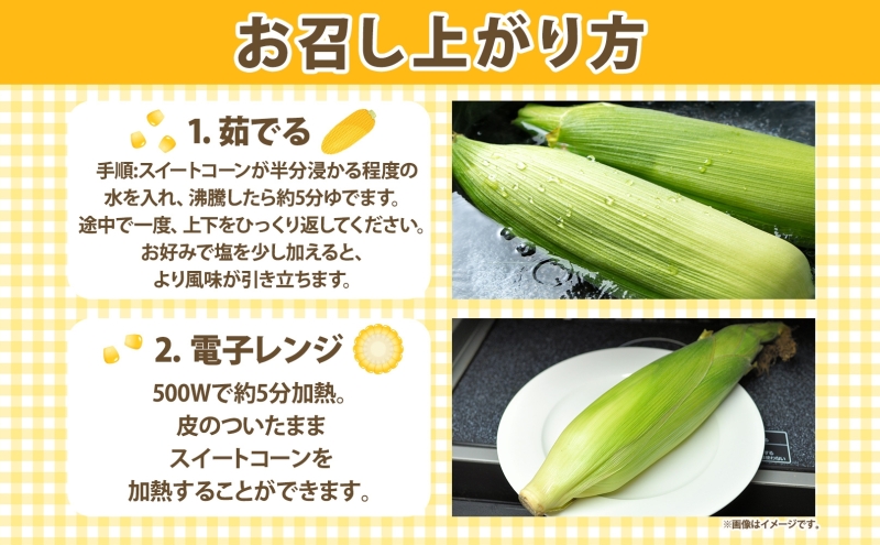【2026年発送 先行予約】【 のざわ農園 】スイートコーン 10本 前後（約4kg） とうもろこし コーン とうきび 北海道 日高産