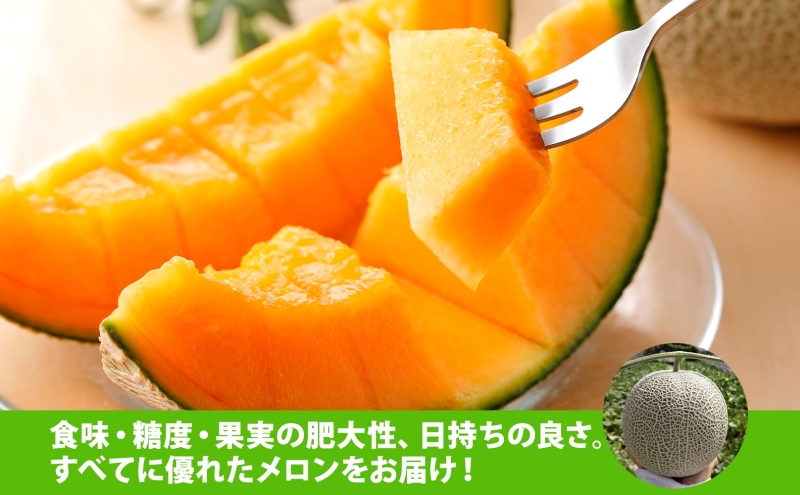 【 ふるさと納税 】のざわ農園 日高 赤肉メロン 4～6玉 約8kg～9kgめろん メロン 甘い 夏 フルーツ 果実 ルピアレッド 糖度 甘み 濃厚 肥料 贈り物 お中元 お歳暮 常温 冷蔵庫 家族 デザート のざわ農園 北海道 日高町