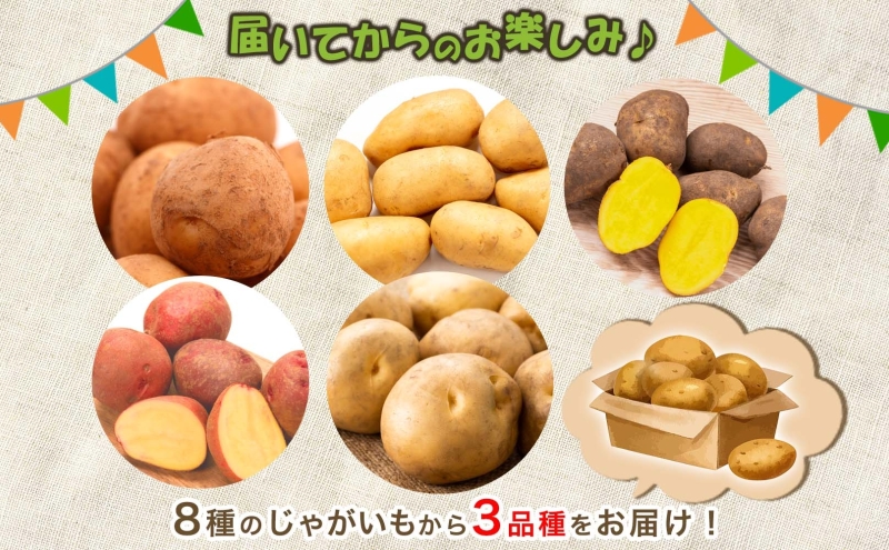 のざわ農園 じゃがいも詰め合わせセット 3kg メークイン ダンシャク トウヤ トカチゴカネ キタアカリ アンデスレッド インカのめざめ インカのひとみ いも 芋 じゃがいも 野菜 送料無料 北海道 日高町