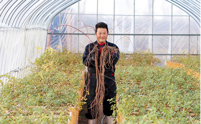 甘草のど飴＆甘草茶セット（大）