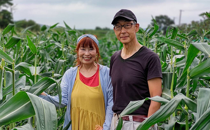 2025年 先行予約 【 のざわ農園 】スイートコーン 10本 前後（約4kg） とうもろこし コーン とうきび 北海道 日高産