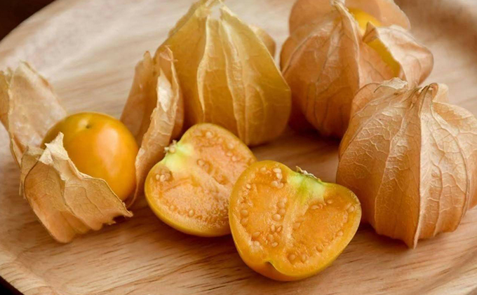 2025年 先行予約 【 のざわ農園 】 フルーツ ほおずき 「 太陽の子 」約500g 北海道 日高産 希少 ホオズキ