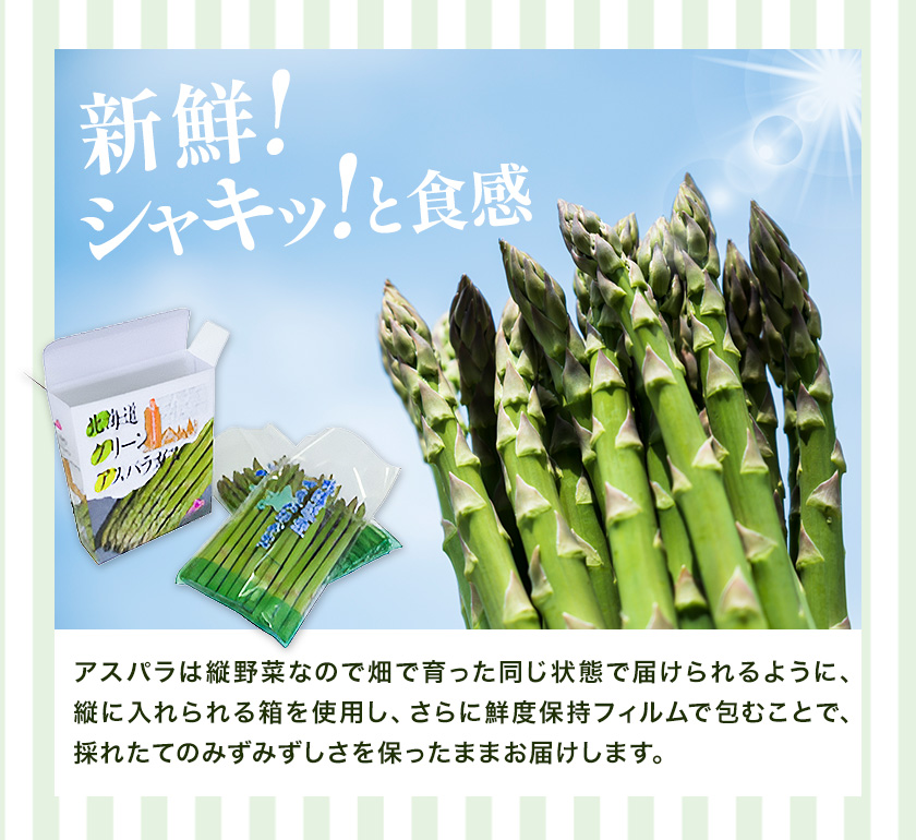 アスパラガス 秀品 アスパラ グリーンアスパラ 2L サイズ 2kg (500g×4) 門別町農業協同組合(生活資材課)《4月上旬-5月末頃出荷》北海道 日高町 送料無料 春野菜 春 朝採り 朝採れ お取り寄せ---hohdk_mnkkssk_2_2kg---