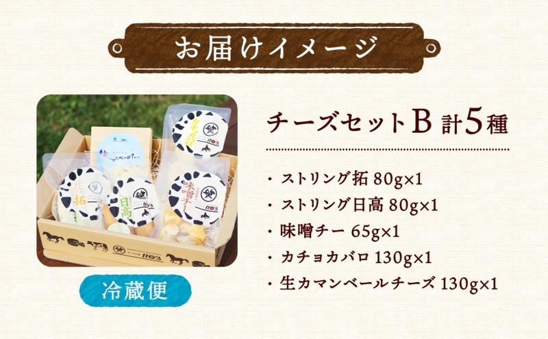 チーズ工房1103 チーズセットB 計5種 ストリング拓 ストリング日高 味噌チーカチョカバロ 生カマンベール チーズ チーズセット 乳製品 まろやか クリーミー あっさり アレンジ 送料無料 ギフト 贈り物 北海道 日高町