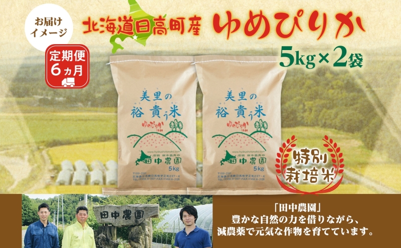 6ヵ月定期便 田中農園 令和6年産 ゆめぴりか 10kg 米 こめ コメ 白米 白飯 ご飯 ごはん ふっくら つややか 豊かな甘み ほどよい粘り 特別栽培 北海道 日高町