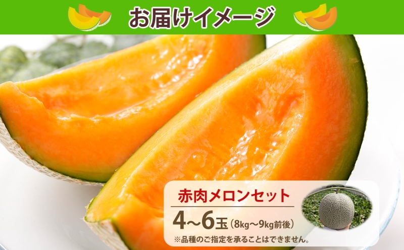 【 ふるさと納税 】のざわ農園 日高 赤肉メロン 4～6玉 約8kg～9kgめろん メロン 甘い 夏 フルーツ 果実 ルピアレッド 糖度 甘み 濃厚 肥料 贈り物 お中元 お歳暮 常温 冷蔵庫 家族 デザート のざわ農園 北海道 日高町