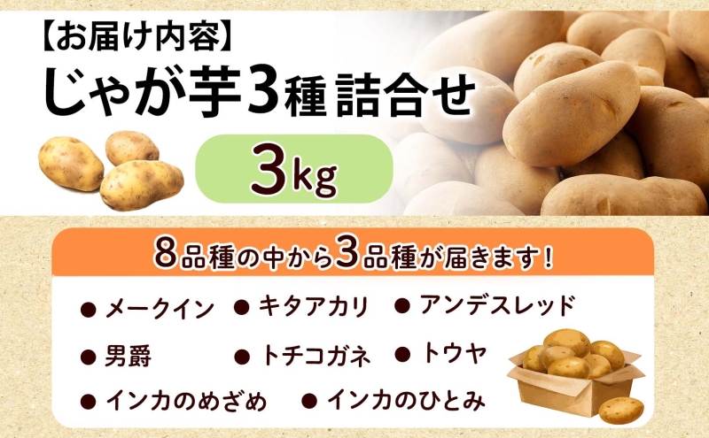 のざわ農園 じゃがいも詰め合わせセット 3kg メークイン ダンシャク トウヤ トカチゴカネ キタアカリ アンデスレッド インカのめざめ インカのひとみ いも 芋 じゃがいも 野菜 送料無料 北海道 日高町