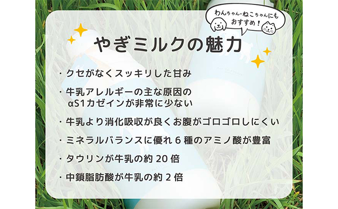 やぎ ミルク プリン 食べ比べ セット 詰合せ 3種 全6個