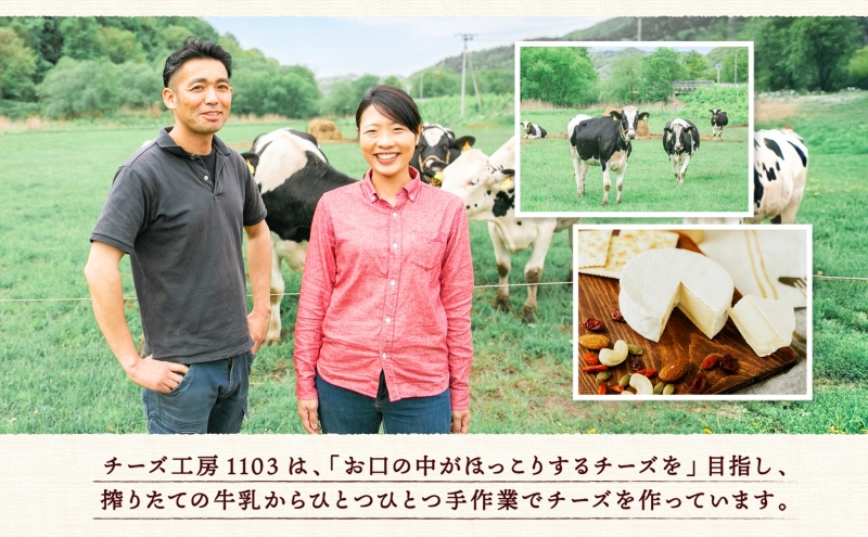 チーズ工房1103 しぼりたて牛乳アイス100g×8個 アイス アイスクリーム ミルクアイス 牛乳アイス デザート スイーツ 搾りたて しぼりたて 牛乳 生乳 あっさり すっきり スッキリ 氷菓子 ひんやり 送料無料 ギフト 贈り物 贈答品 北海道日高町