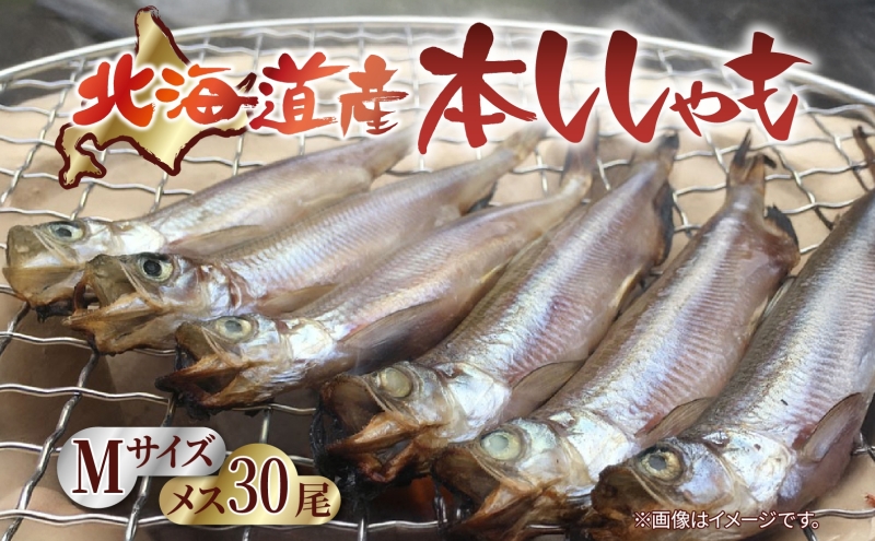 北海道産 阿部水産 ししゃも M 30尾セット 本ししゃも 雌 メス 魚卵 卵 たまご タマゴ子持ち 北海道土産 季節限定 ほくほく 子魚 無添加 クール便 冷凍 送料無料 北海道 日高町