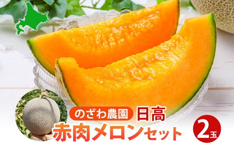 【 ふるさと納税 】のざわ農園 日高 赤肉メロン 2玉 めろん メロン 赤い 甘い 夏 フルーツ 果実 ルピアレッド 糖度 甘み 濃厚 肥料 贈り物 お中元 お歳暮 常温 冷蔵庫 家族 デザート のざわ農園 北海道 日高町