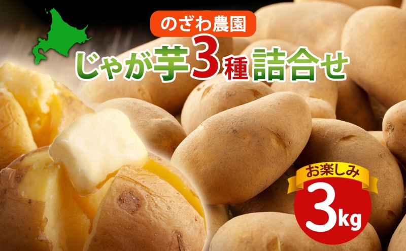 のざわ農園 じゃがいも詰め合わせセット 3kg メークイン ダンシャク トウヤ トカチゴカネ キタアカリ アンデスレッド インカのめざめ インカのひとみ いも 芋 じゃがいも 野菜 送料無料 北海道 日高町