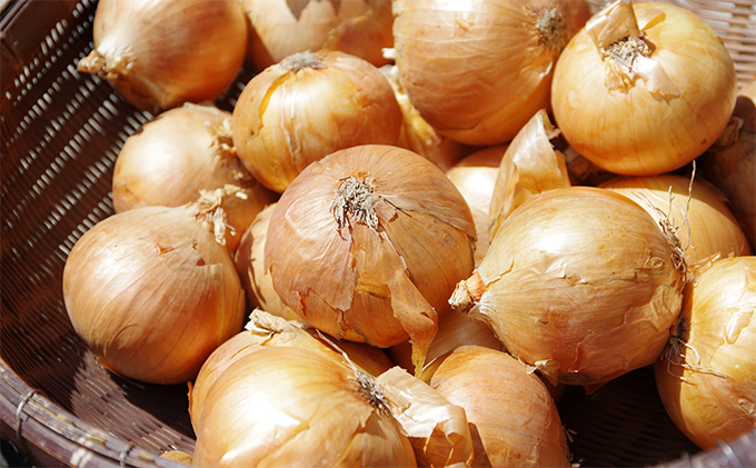 北海道 日高産 玉ねぎ 約18kg 国産 北海道産 野菜 産地直送 お取り寄せ