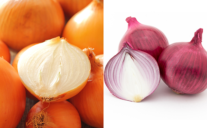  北海道　日高産　玉ねぎ2種 玉ねぎ約13kg 紫玉ねぎ約5kg 国産 北海道産 野菜 産地直送 お取り寄せ