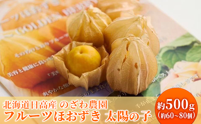 2025年 先行予約 【 のざわ農園 】 フルーツ ほおずき 「 太陽の子 」約500g 北海道 日高産 希少 ホオズキ