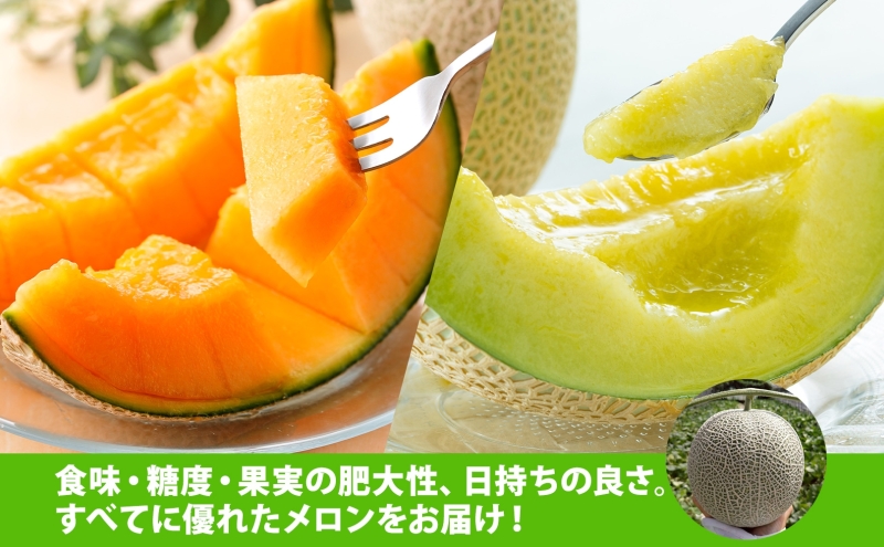 【2026年発送 先行予約】のざわ農園 日高 赤肉メロン 4～6玉 約8kg～9kg めろん メロン 赤い 甘い 夏 フルーツ 果実 ルピアレッド 糖度 甘み 濃厚 肥料 贈り物 お中元 お歳暮 常温 家族 デザート のざわ農園 北海道 日高町