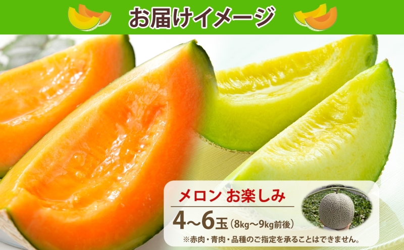 【2026年発送 先行予約】のざわ農園 日高 赤肉メロン 4～6玉 約8kg～9kg めろん メロン 赤い 甘い 夏 フルーツ 果実 ルピアレッド 糖度 甘み 濃厚 肥料 贈り物 お中元 お歳暮 常温 家族 デザート のざわ農園 北海道 日高町