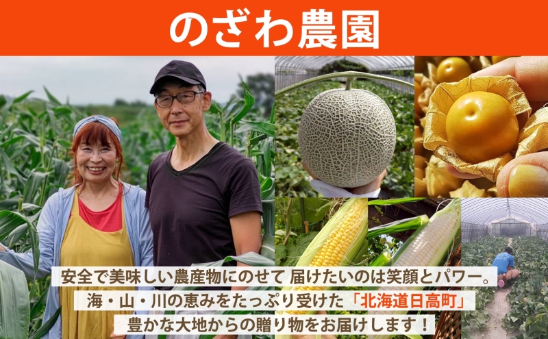 【2026年発送 先行予約】のざわ農園 日高 赤肉メロン 4～6玉 約8kg～9kg めろん メロン 赤い 甘い 夏 フルーツ 果実 ルピアレッド 糖度 甘み 濃厚 肥料 贈り物 お中元 お歳暮 常温 家族 デザート のざわ農園 北海道 日高町