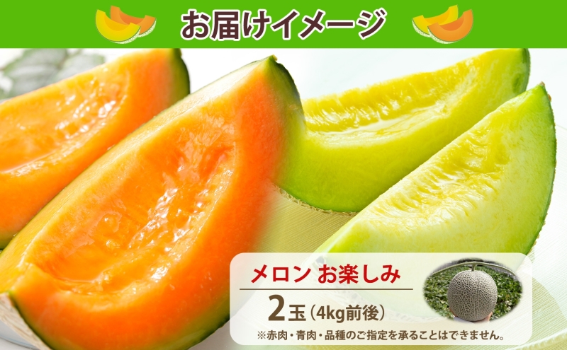 【2026年発送 先行予約】のざわ農園 日高 赤肉メロン 2玉 めろん メロン 赤い 青い 甘い 夏 フルーツ 果実 ルピアレッド 糖度 甘み 濃厚 肥料 贈り物 お中元 お歳暮 常温 冷蔵庫 家族 デザート のざわ農園 北海道 日高町