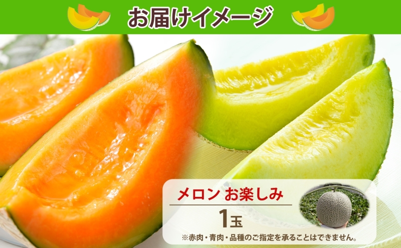 【2026年発送 先行予約】のざわ農園 日高 赤肉メロン 1玉 めろん メロン 赤い 青い 甘い 夏 フルーツ 果実 ルピアレッド 糖度 甘み 濃厚 肥料 贈り物 お中元 お歳暮 常温 冷蔵庫 家族 デザート のざわ農園 北海道 日高町