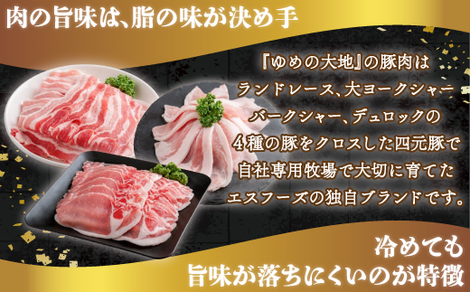 【平取町産四元豚】ゆめの大地豚ロース、バラ、切り落とし3種類のスライス　バラエティセット　200g×8パック計1.6ｋｇ BRTD010