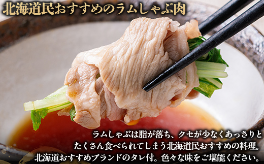 【たっぷり!!】北海道民おすすめ『ラムしゃぶ』500g×6パックタレ590ｇ×1本 BRTI008