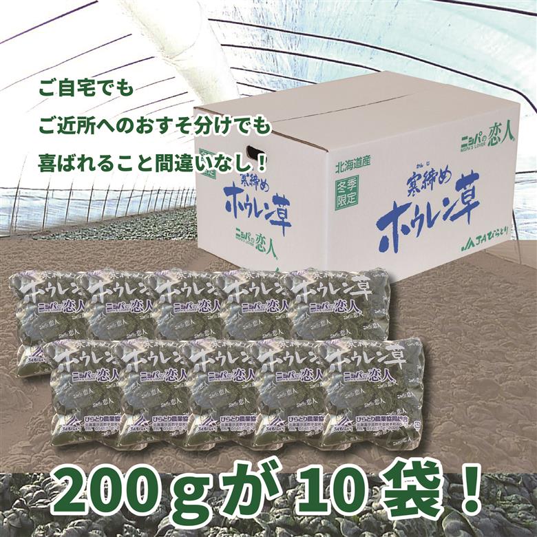 【北海道平取町産】寒締めホウレン草（ちぢみほうれん草）200g×10袋 BRTO003