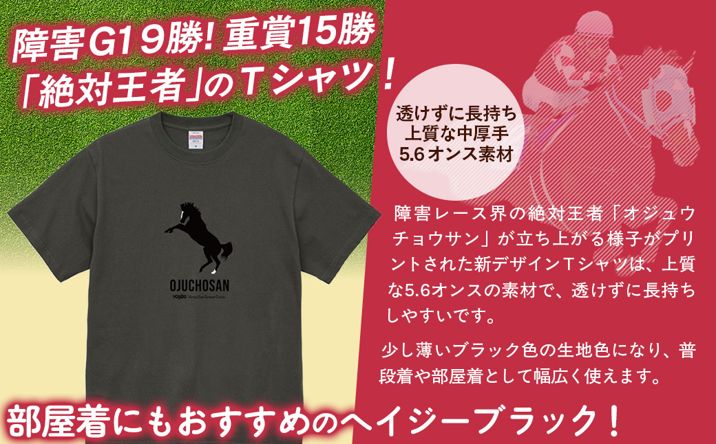 【オジュウチョウサン】Ｔシャツ _XLサイズ（ヘイジーブラック） BRTV004-4