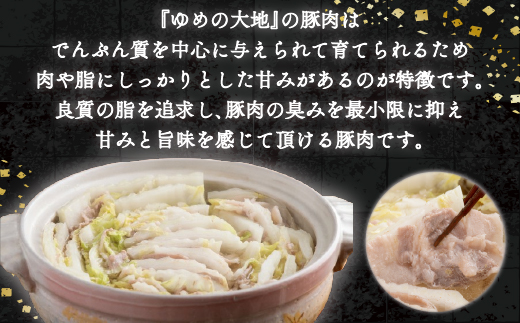 【平取町産四元豚】ゆめの大地豚バラスライス　200g×10パック計2ｋｇ BRTD005