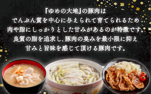 【平取町産四元豚】ゆめの大地豚ロース、バラ、切り落とし3種類のスライス　バラエティセット　200g×8パック計1.6ｋｇ BRTD010