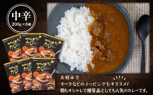 びらとり和牛カレー中辛200g×６箱 BRTH019