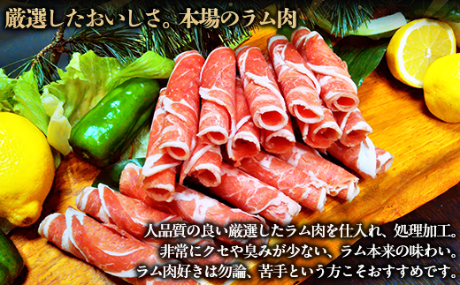 【たっぷり!!】北海道民おすすめ『ラムしゃぶ』500g×6パックタレ590ｇ×1本 BRTI008