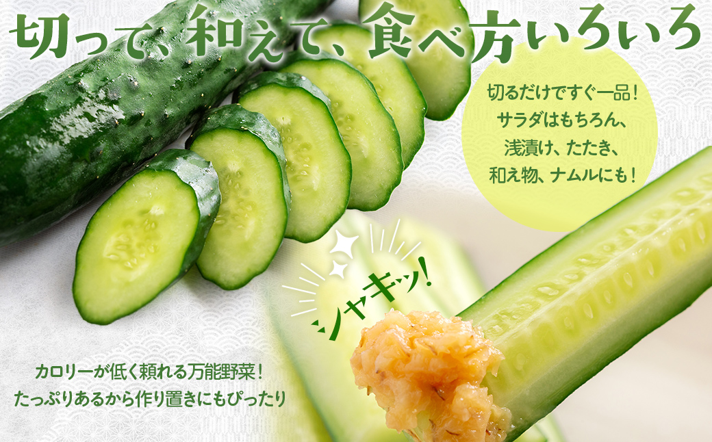 【先行予約/8月以降発送】【家庭用】【北海道平取町産】秀品 キュウリ１箱Мサイズ５kg BRTO004