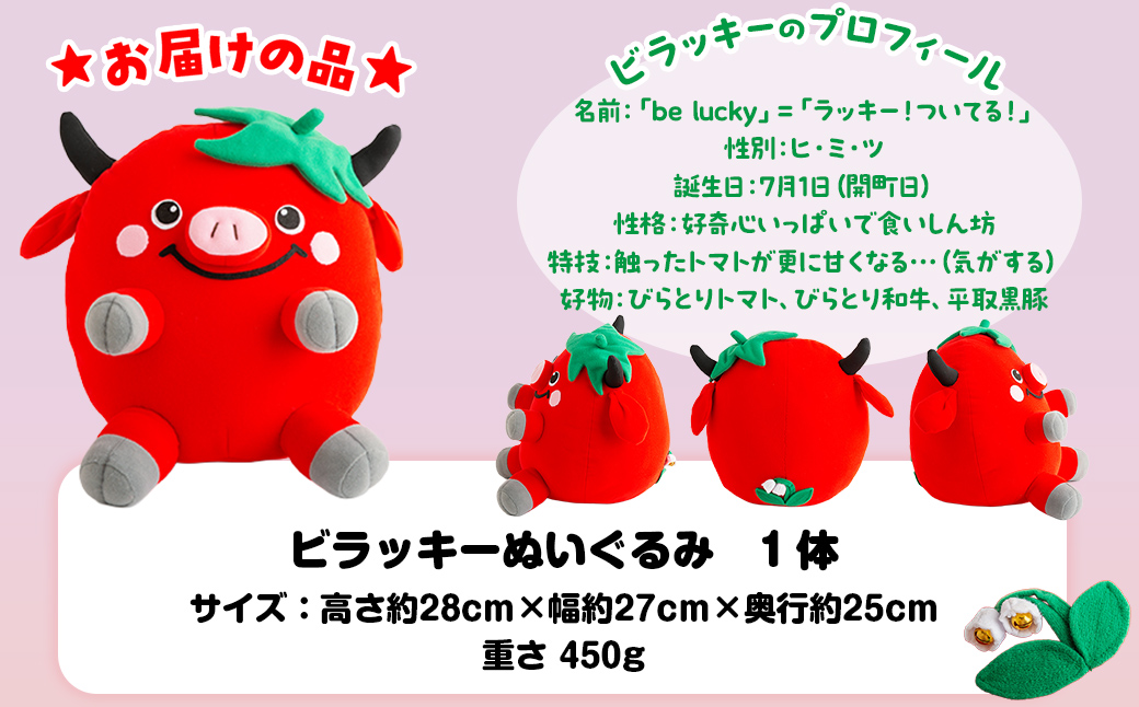 【ご当地キャラ平取町】ビラッキーぬいぐるみ BRTT001