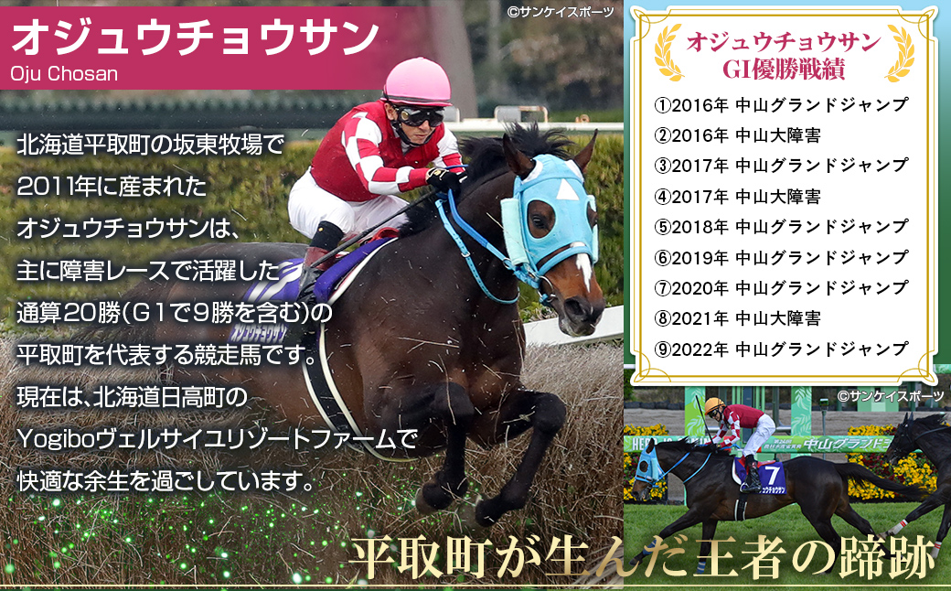 【オーダーメイド品】オジュウチョウサン牧柵キーホルダー BRTV002