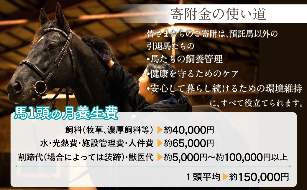 【千円コース 返礼品無し】より多くの引退馬の幸せな余生を願う　Yogiboヴェルサイユリゾートファーム BRTV024-01